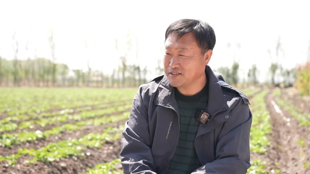 青岛乡里乡亲|匡兆强:科技赋能 “胶白”焕发新活力