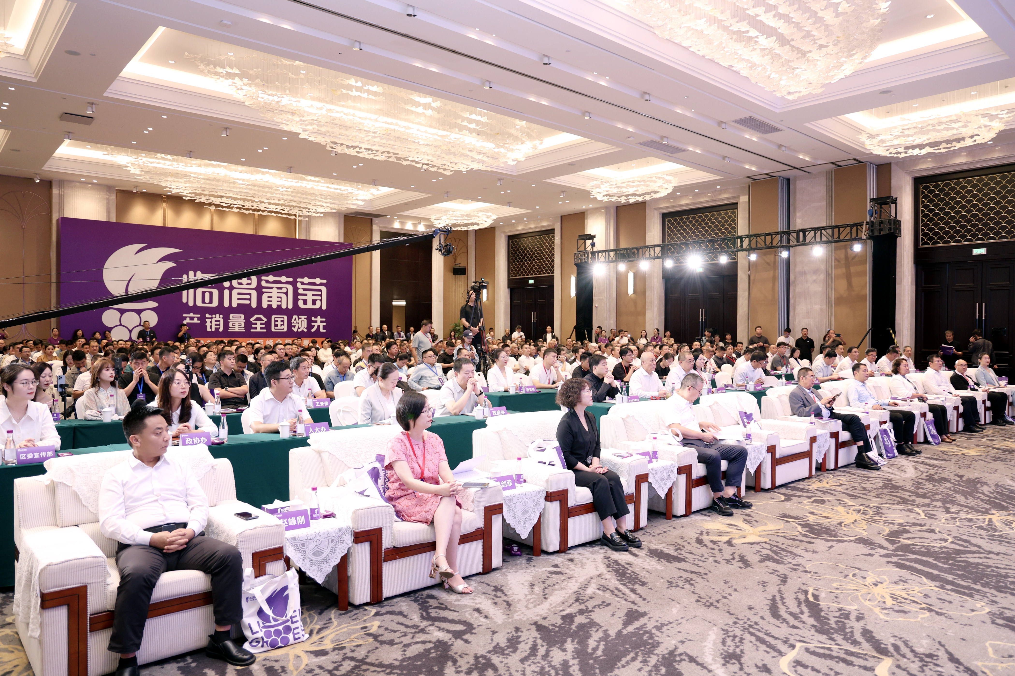 葡萄盛會 產業共贏|首屆葡萄經銷商大會暨2025臨渭葡萄產銷對接會舉辦