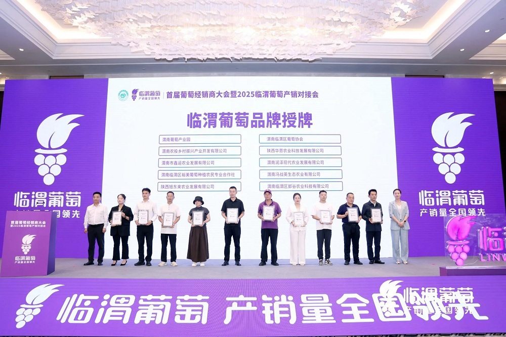葡萄盛會 產業共贏|首屆葡萄經銷商大會暨2025臨渭葡萄產銷對接會舉辦