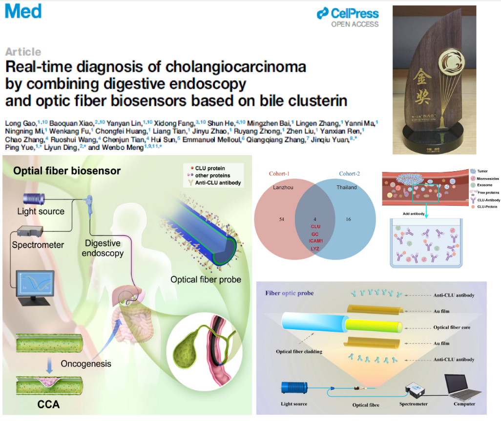 图1.研究设计概览图