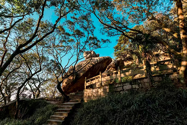 佛慧法师哲思之作：普陀山上的石头记