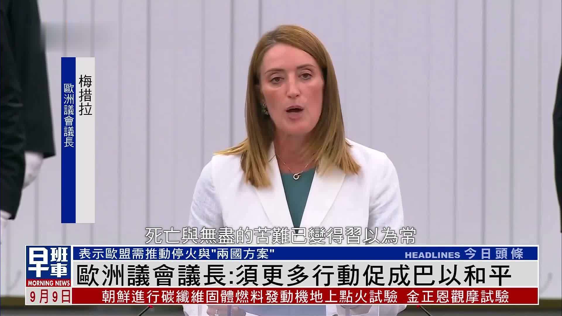 欧洲议会议长：须更多行动促成巴以和平