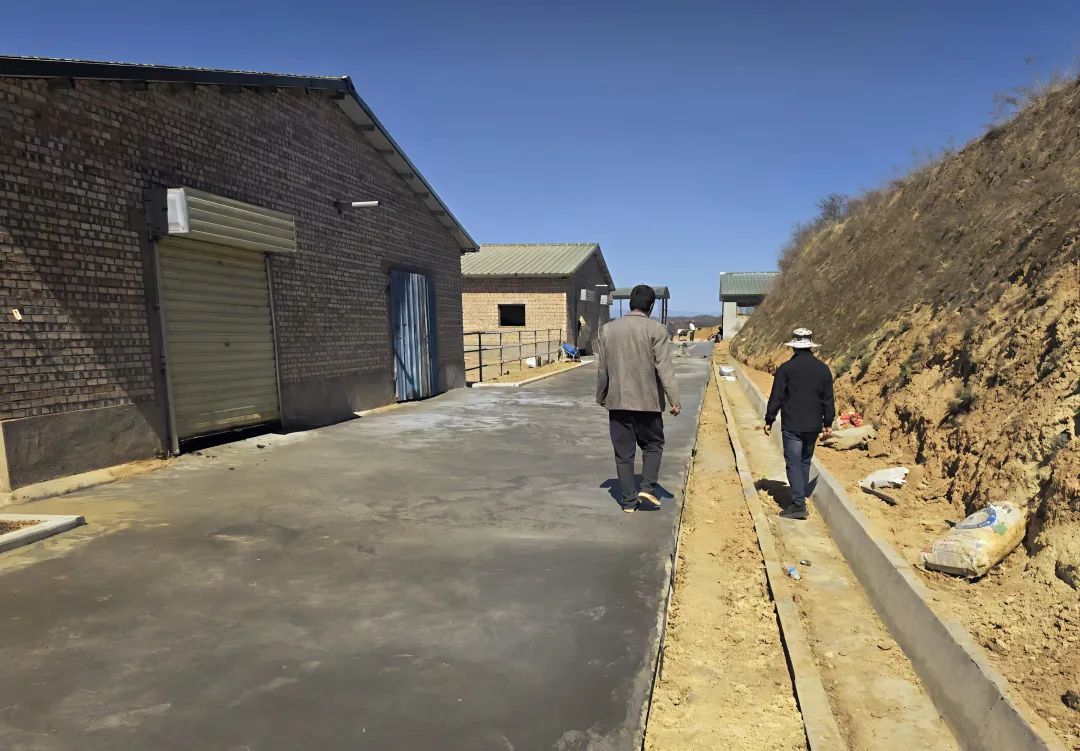 甘肃华亭人畜分离项目破题　乡村蝶变有“犇”头