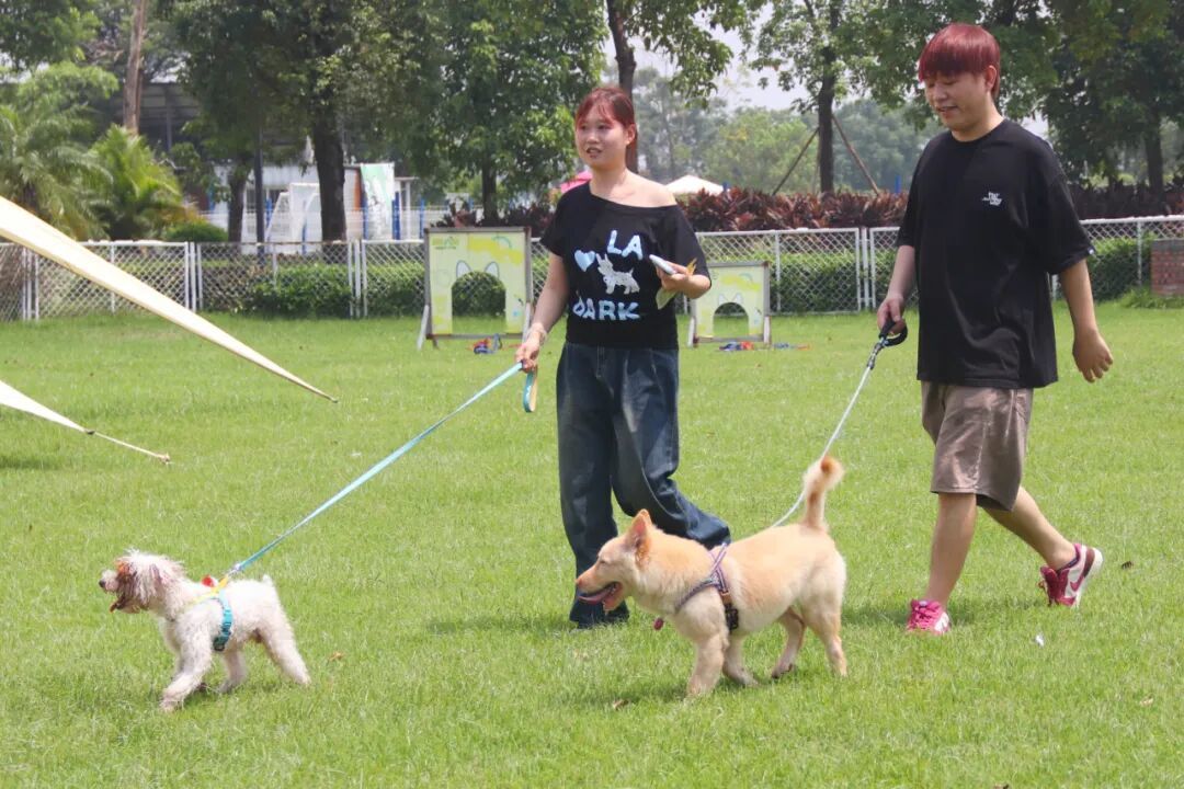 金秋亲宠嘉年华系列精彩活动吸引众多市民游客打卡