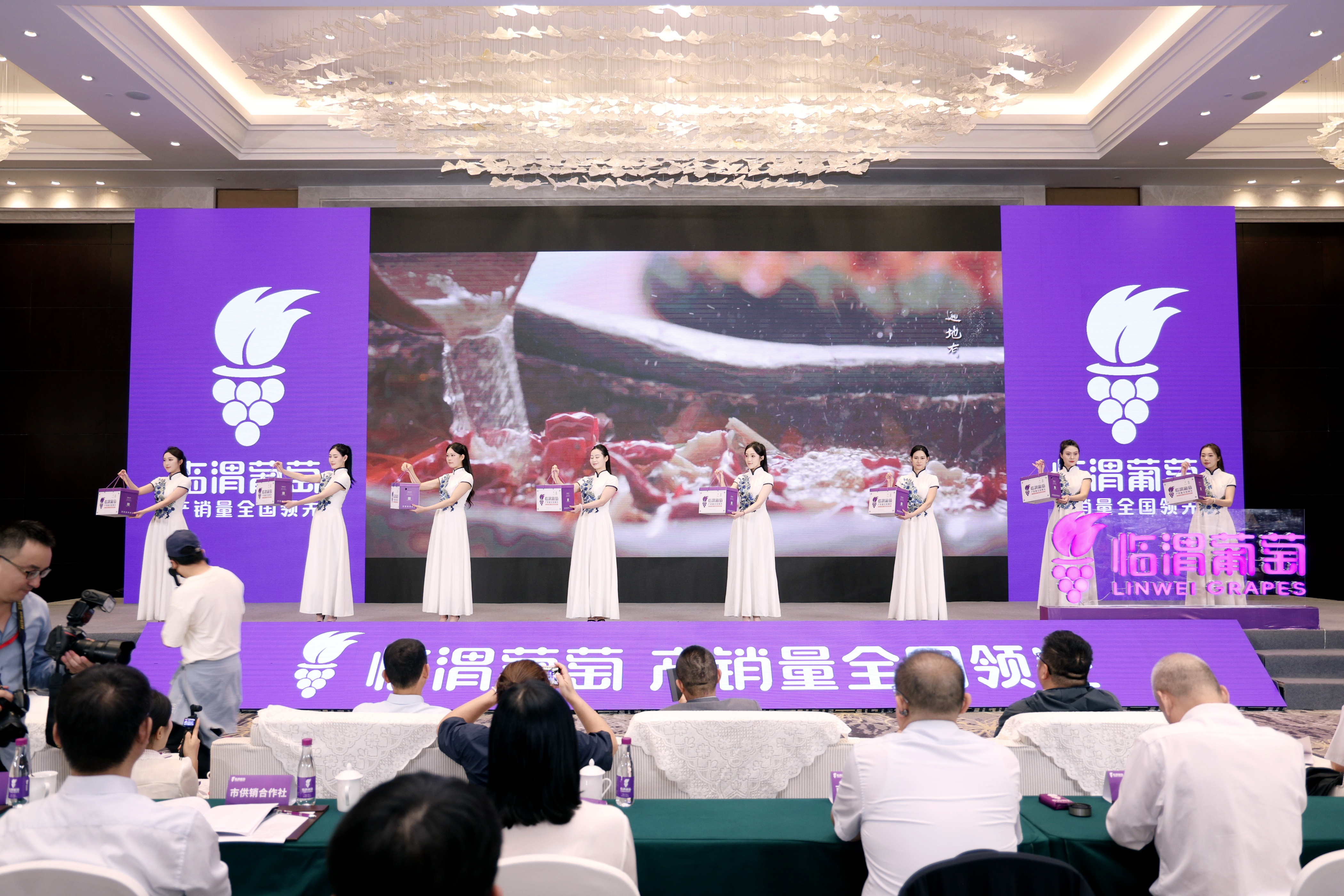 葡萄盛會 產業共贏|首屆葡萄經銷商大會暨2025臨渭葡萄產銷對接會舉辦