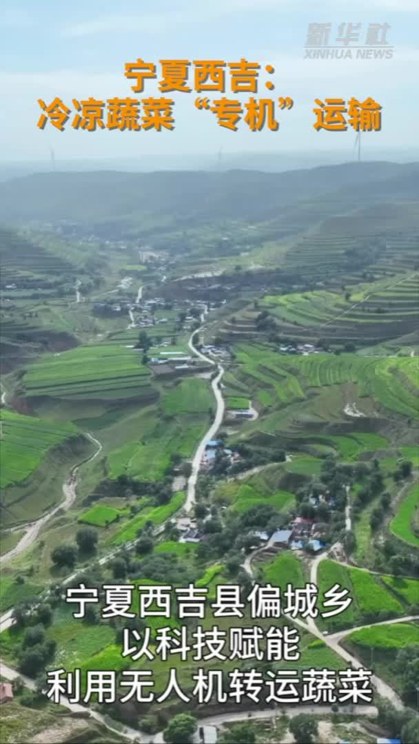 宁夏西吉：冷凉蔬菜“专机”运输