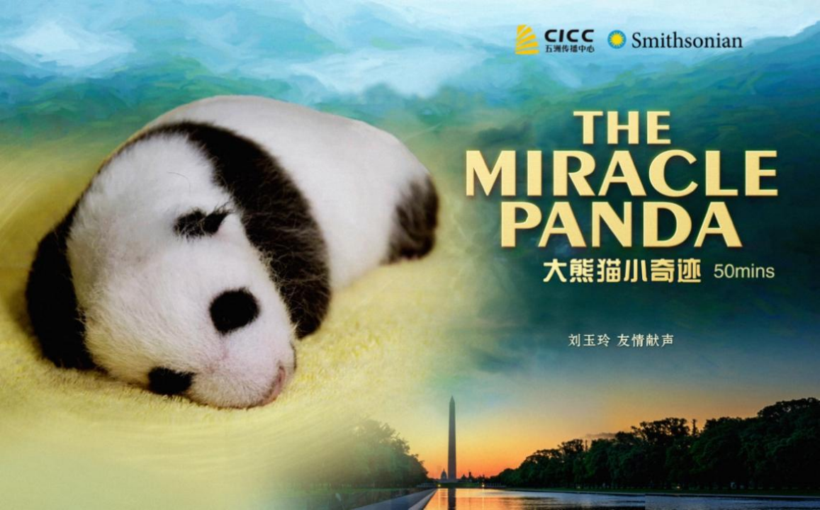 首届金熊猫奖提名作品《大熊猫 小奇迹》图源：官方海报