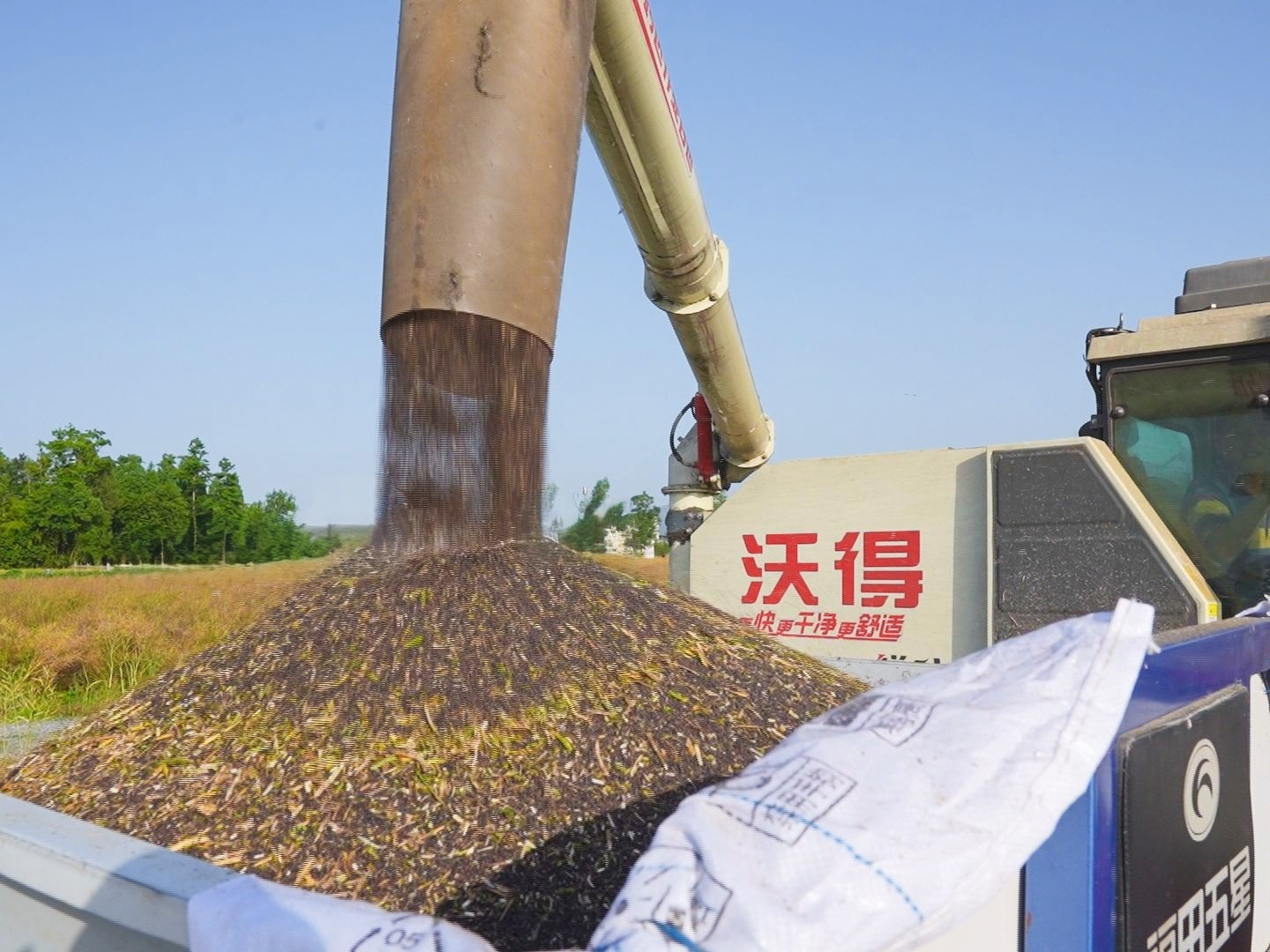 特色产业茁壮成长 甘肃华亭解锁粮果丰登密码