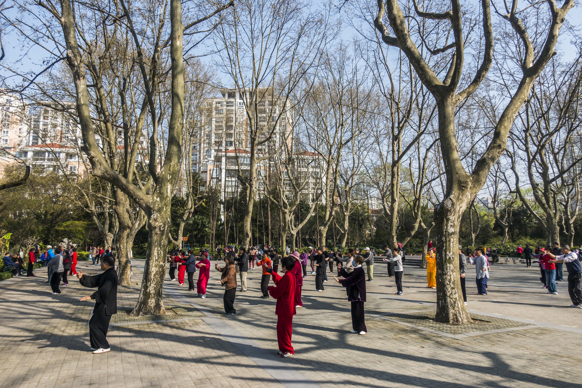 推动精神文明建设 提高莱西民间文化协会广场舞知名度