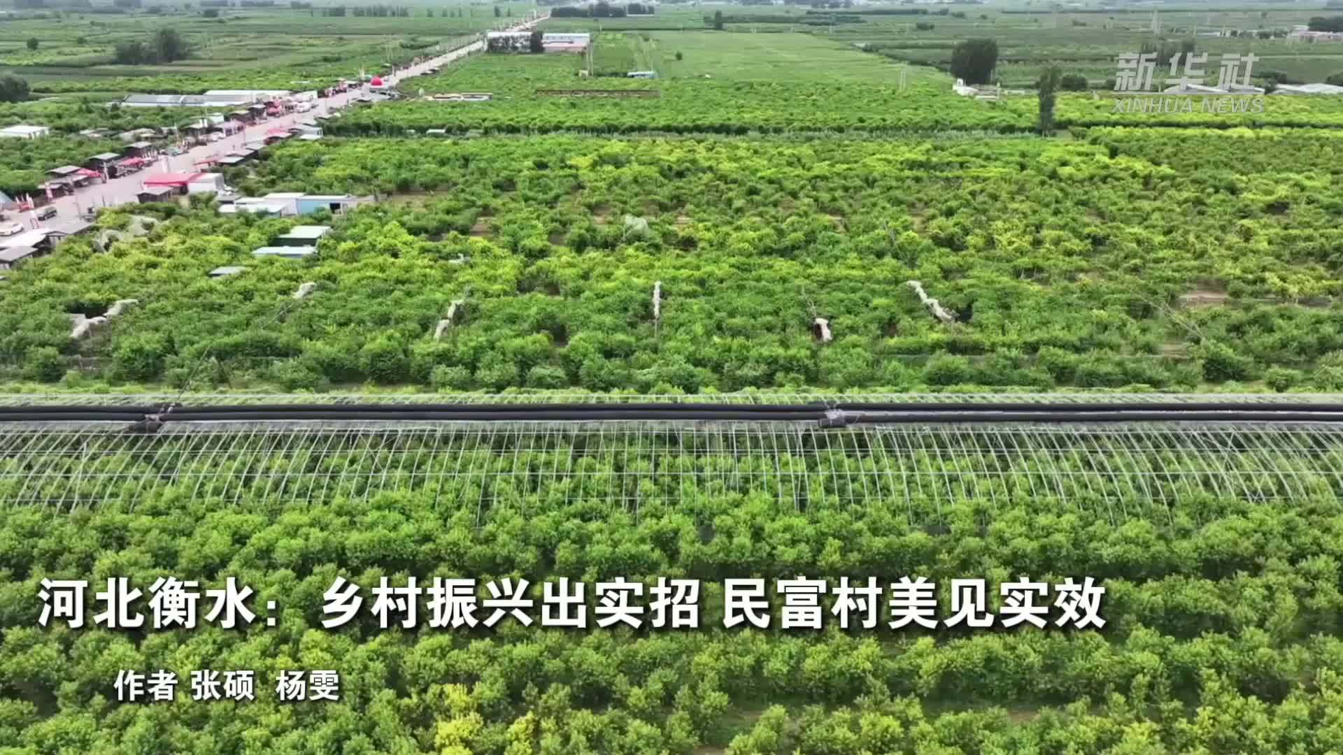 河北衡水：乡村振兴出实招 民富村美见实效