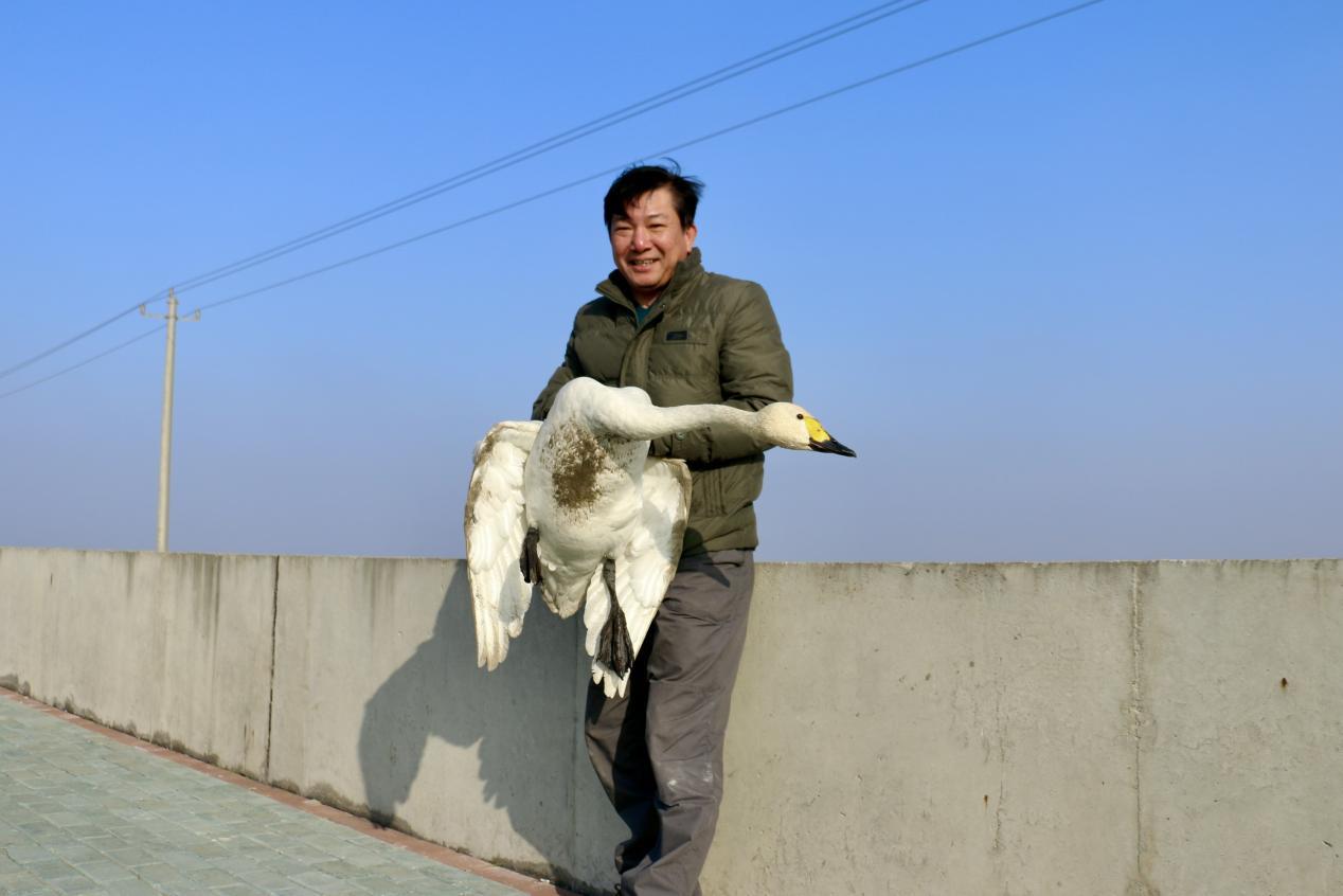 2017年施建庆救助天鹅