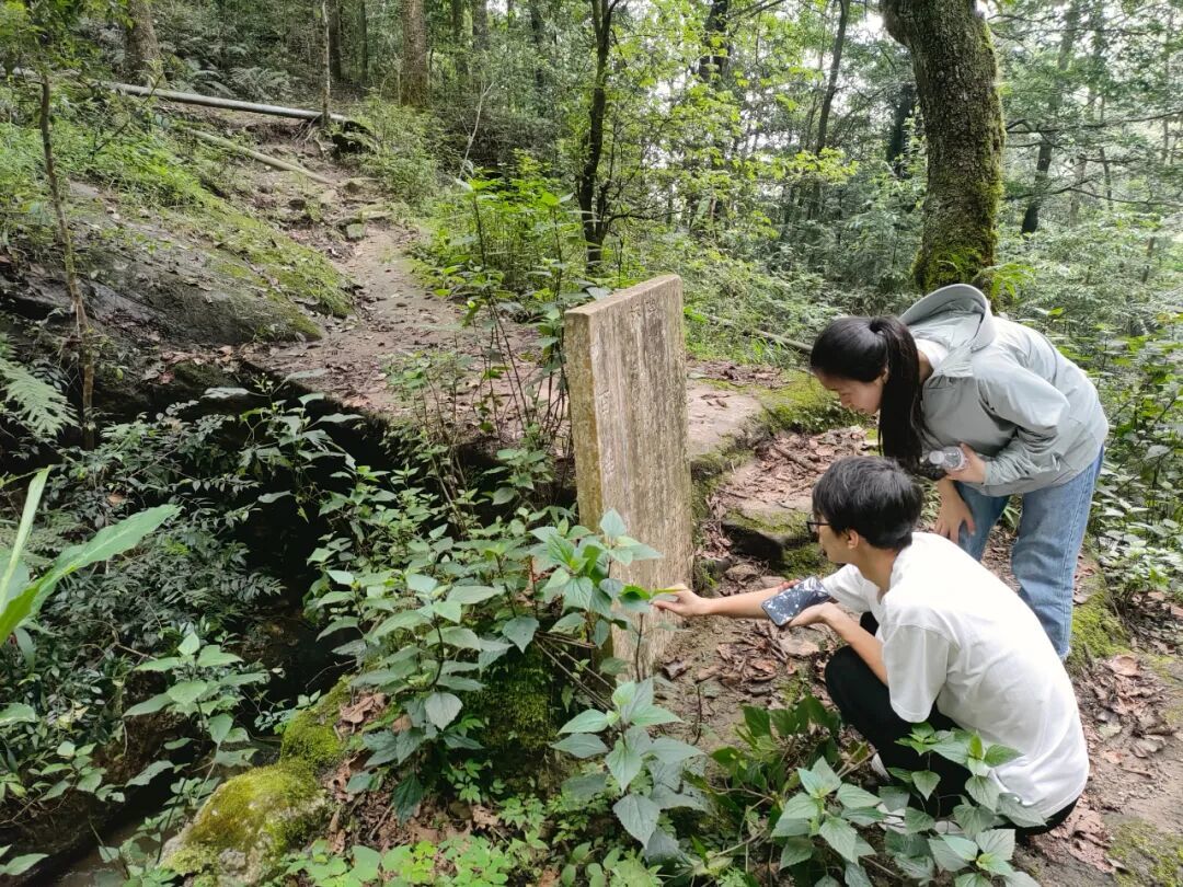 密林中发现一通当地没有记载的碑刻