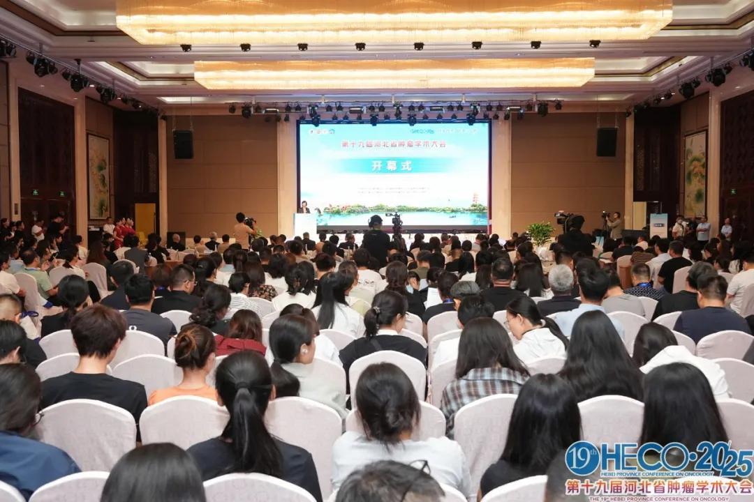 学术硕果见证实力！沧州中西医结合医院肿瘤专家在第十九届河北省肿瘤学术大会载誉而归