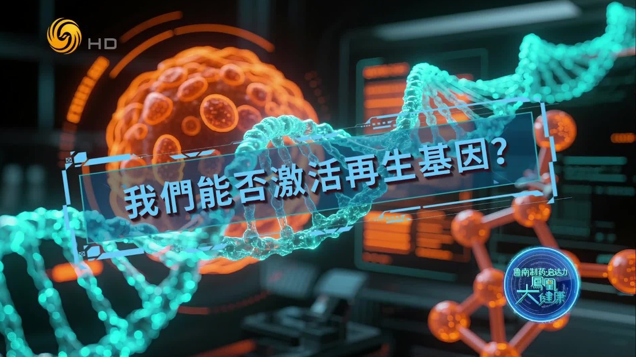 壁虎、兔子等小动物的器官能再生，人类为什么不行？