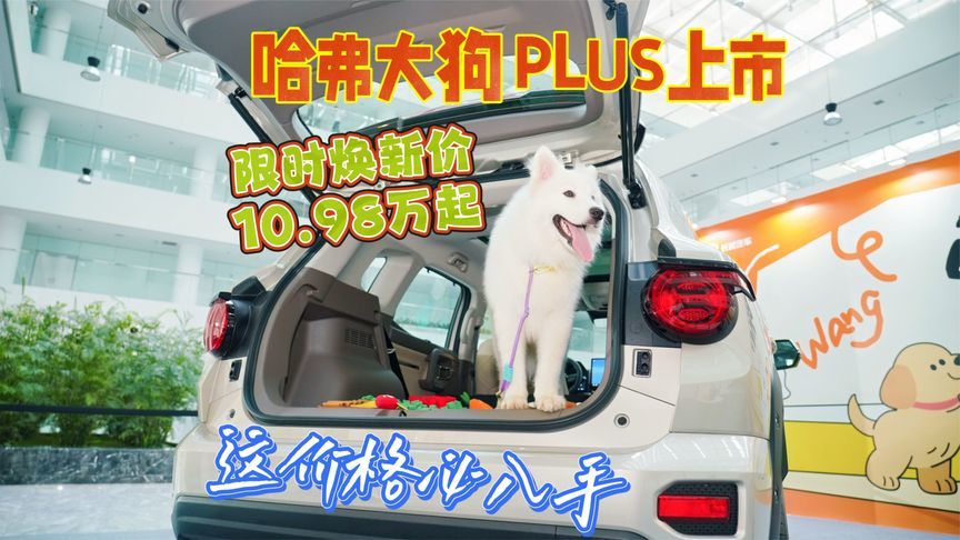 哈弗大狗PLUS上市，限时换新价10.98万起，这价格必须入手