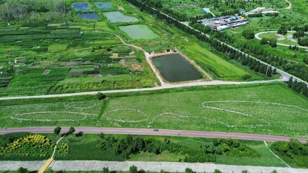 群力外滩湿地