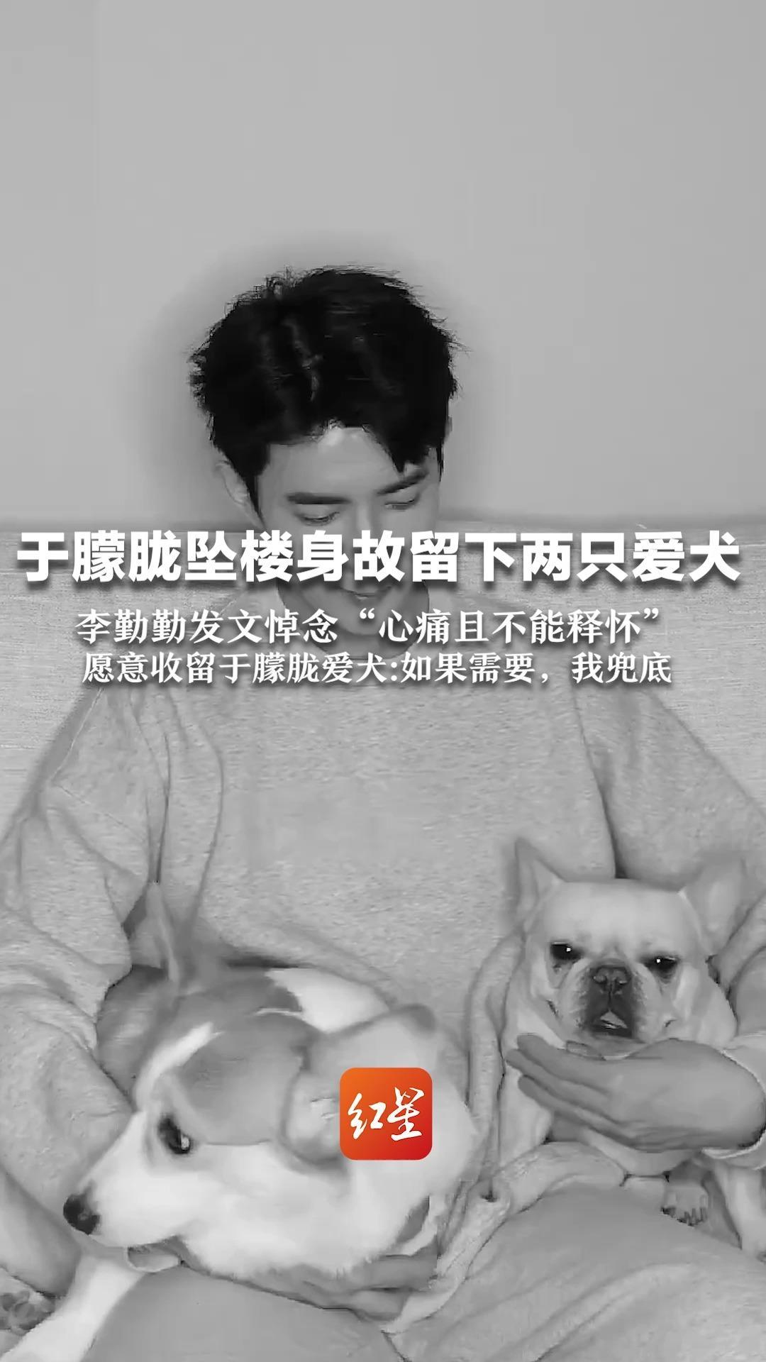 于朦胧坠楼身故留下两只爱犬 李勤勤发文悼念“心痛且不能释怀”，愿意收留于朦胧爱犬：如果需要，我兜底