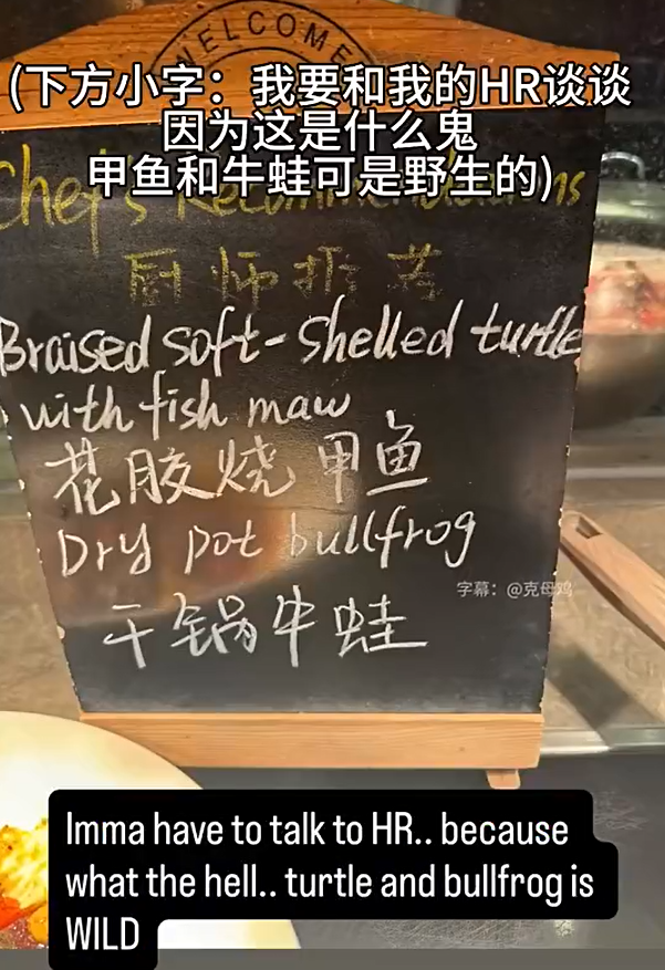 美国网球选手公开吐槽中国菜:牛蛙不是有毒吗?这些菜我只能打2分