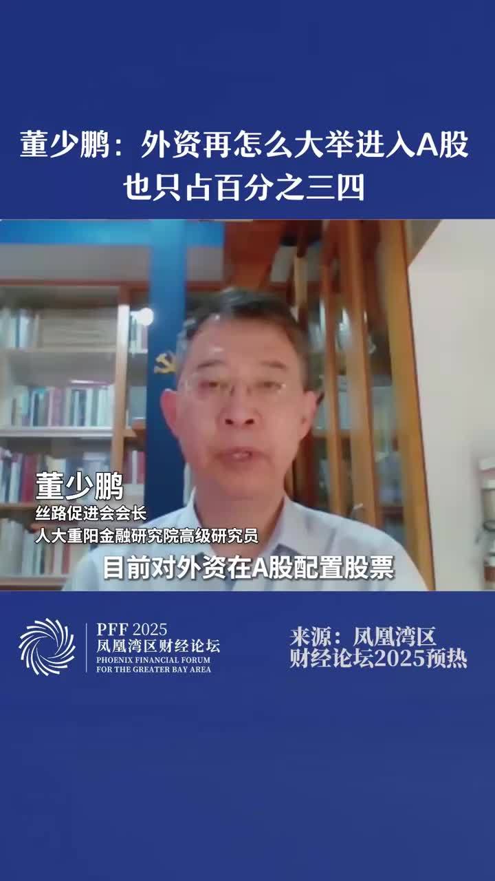 董少鹏：外资再怎么大举进入A股也只占百分之三四#专家称外资最多就占A股百分之三四 #专家称当前市场对外资配置A股有误解 #凤凰湾区财经论坛2025