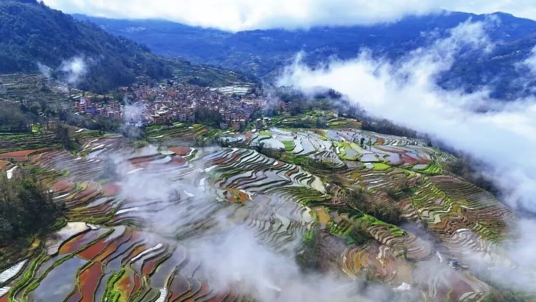 云南元阳哈尼梯田