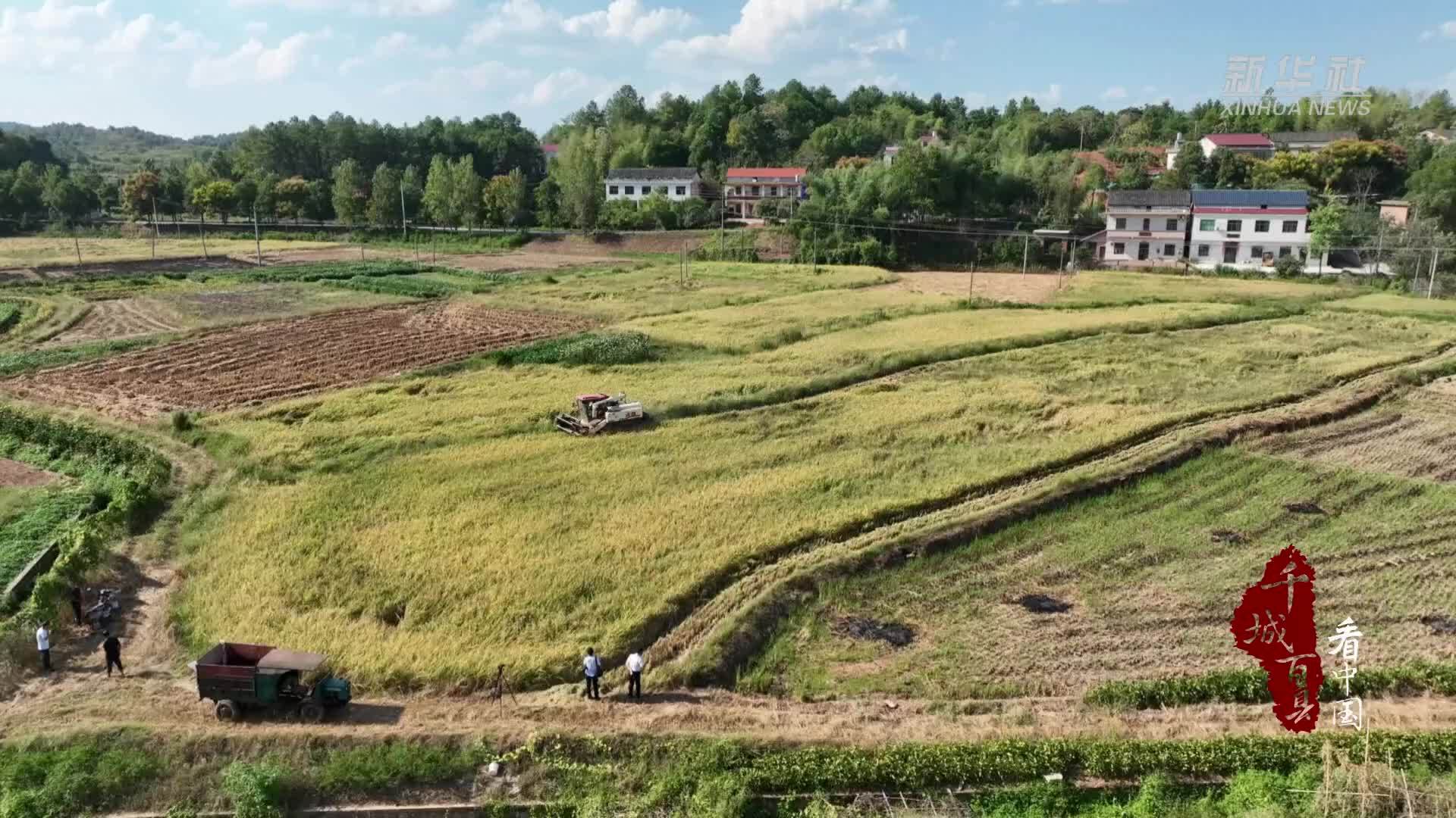千城百县看中国｜湖南衡阳：推进秸秆综合利用 实现“变废为宝”