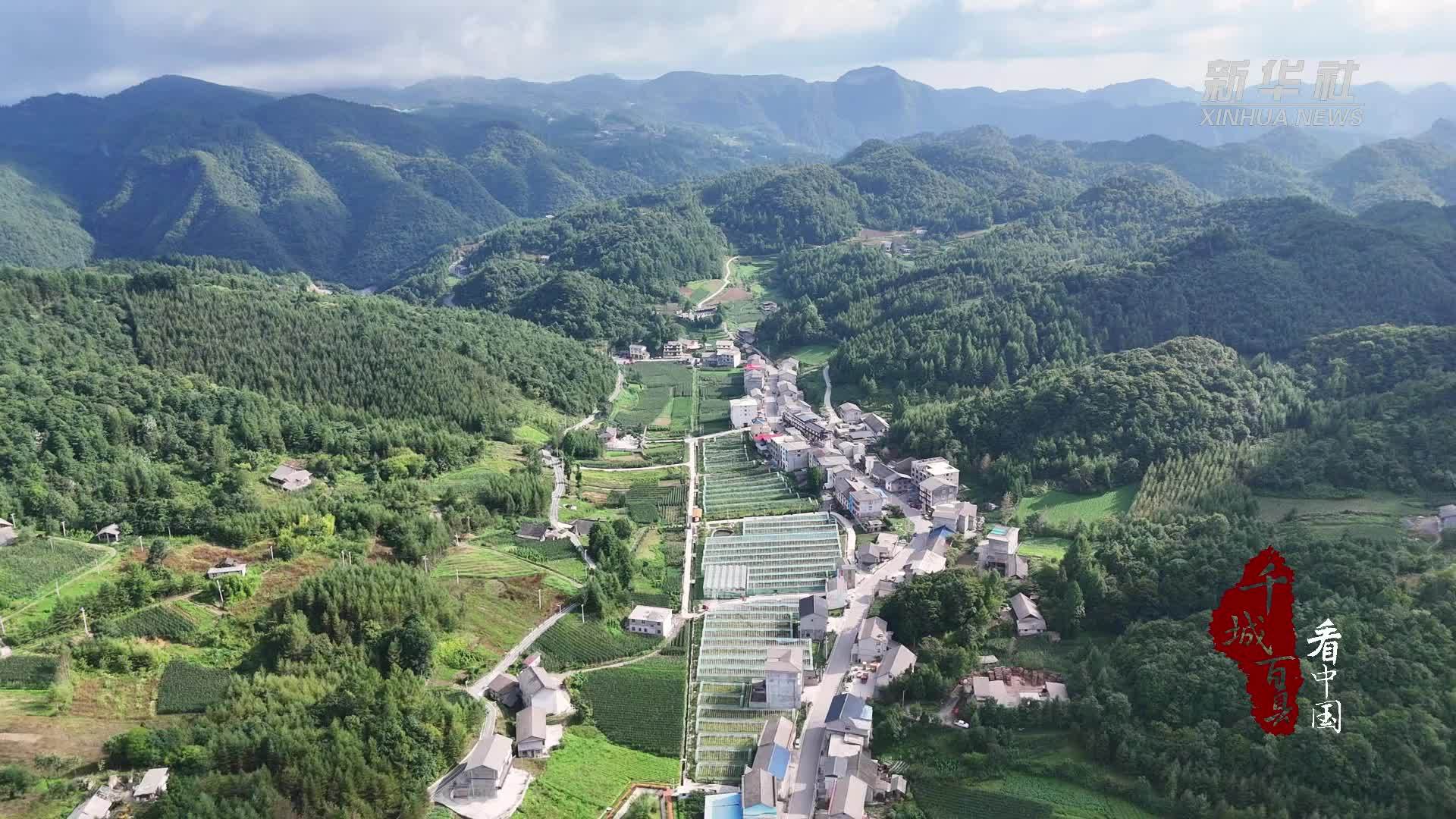 千城百县看中国｜湖北建始：新薯迎丰收 粑香满农家