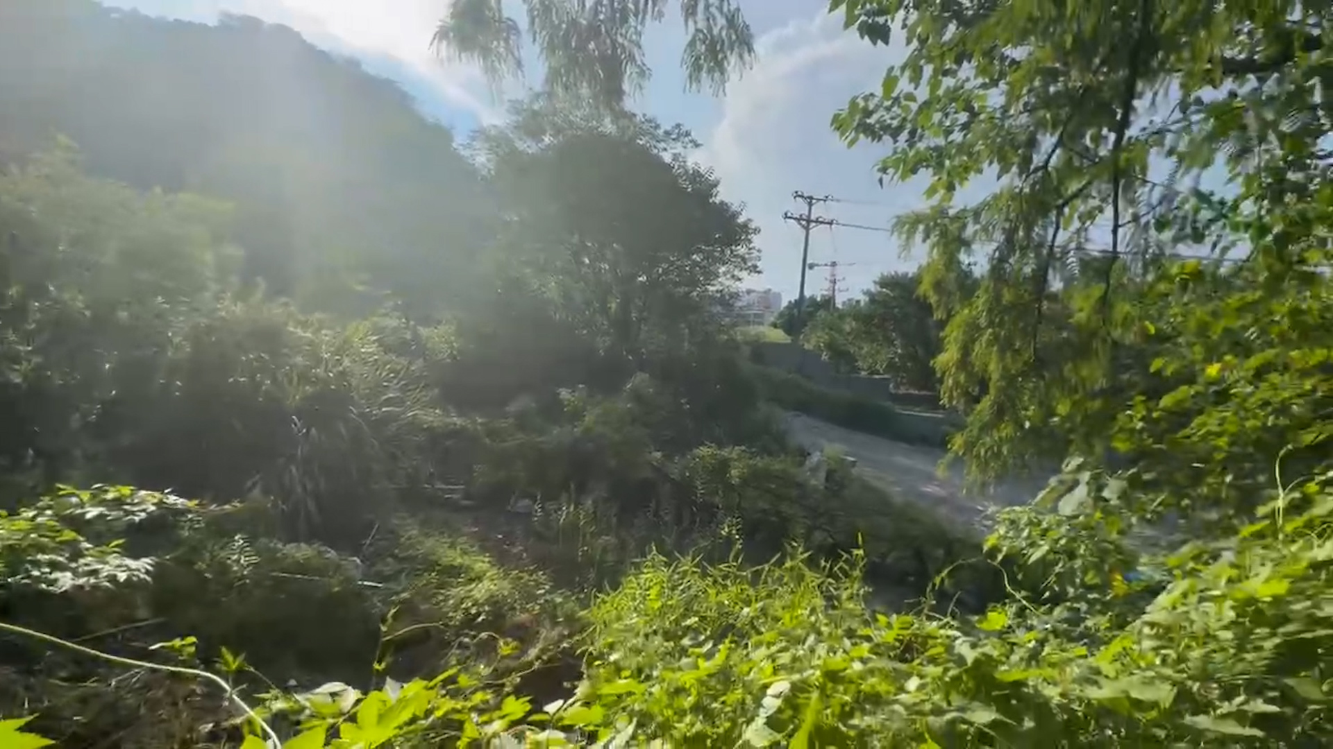 52岁江西女子在杭州误触氢氟酸后去世,家属发声