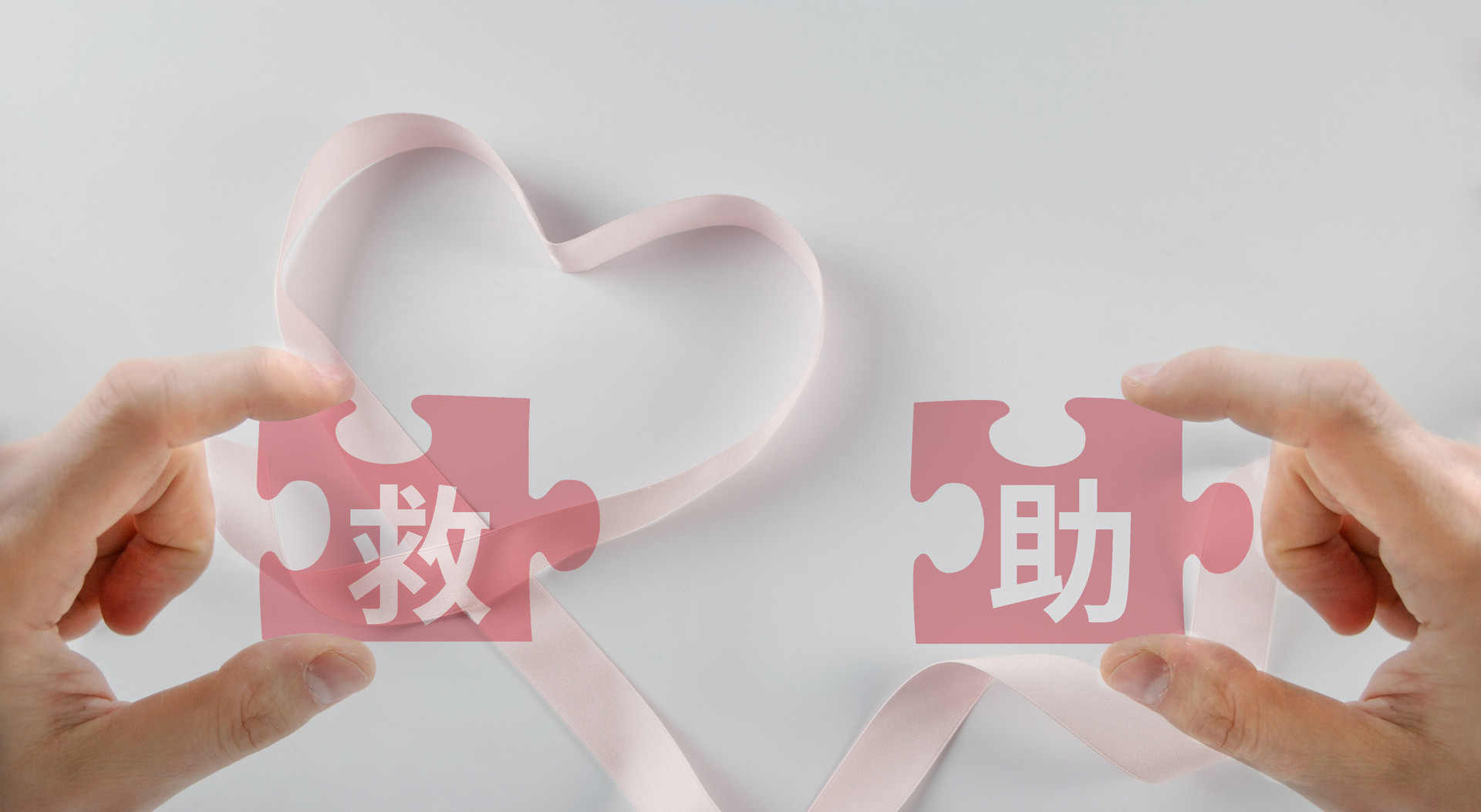 莱西市充分发挥统筹协调作用 构建救助服务新格局