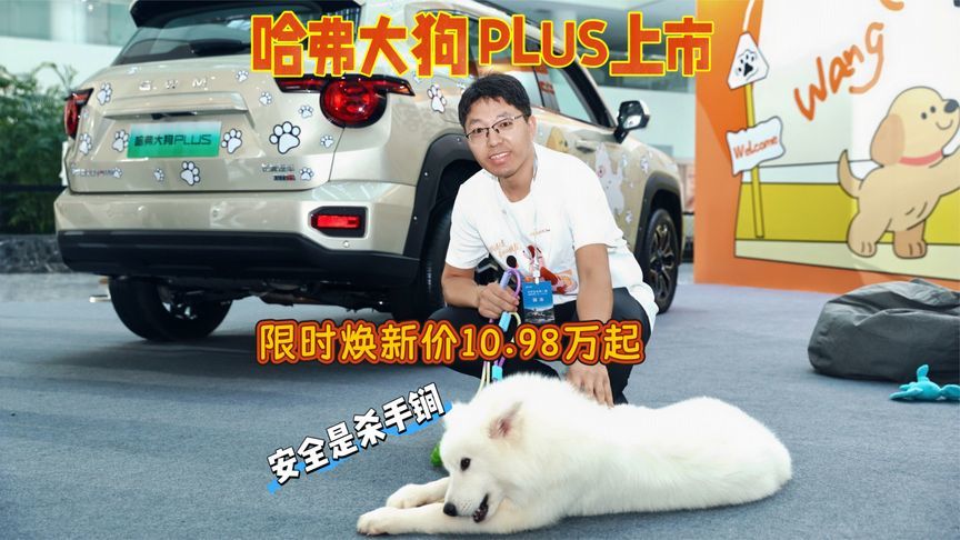 哈弗大狗PLUS上市，限时焕新价10.98万起，提供燃油、PHEV双动力