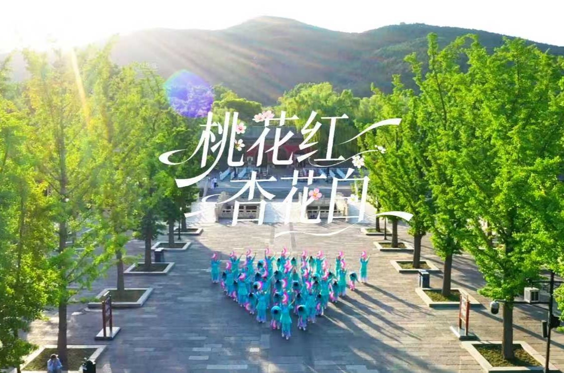 新编山西民歌广场舞《桃花红 杏花白》竞逐群星奖