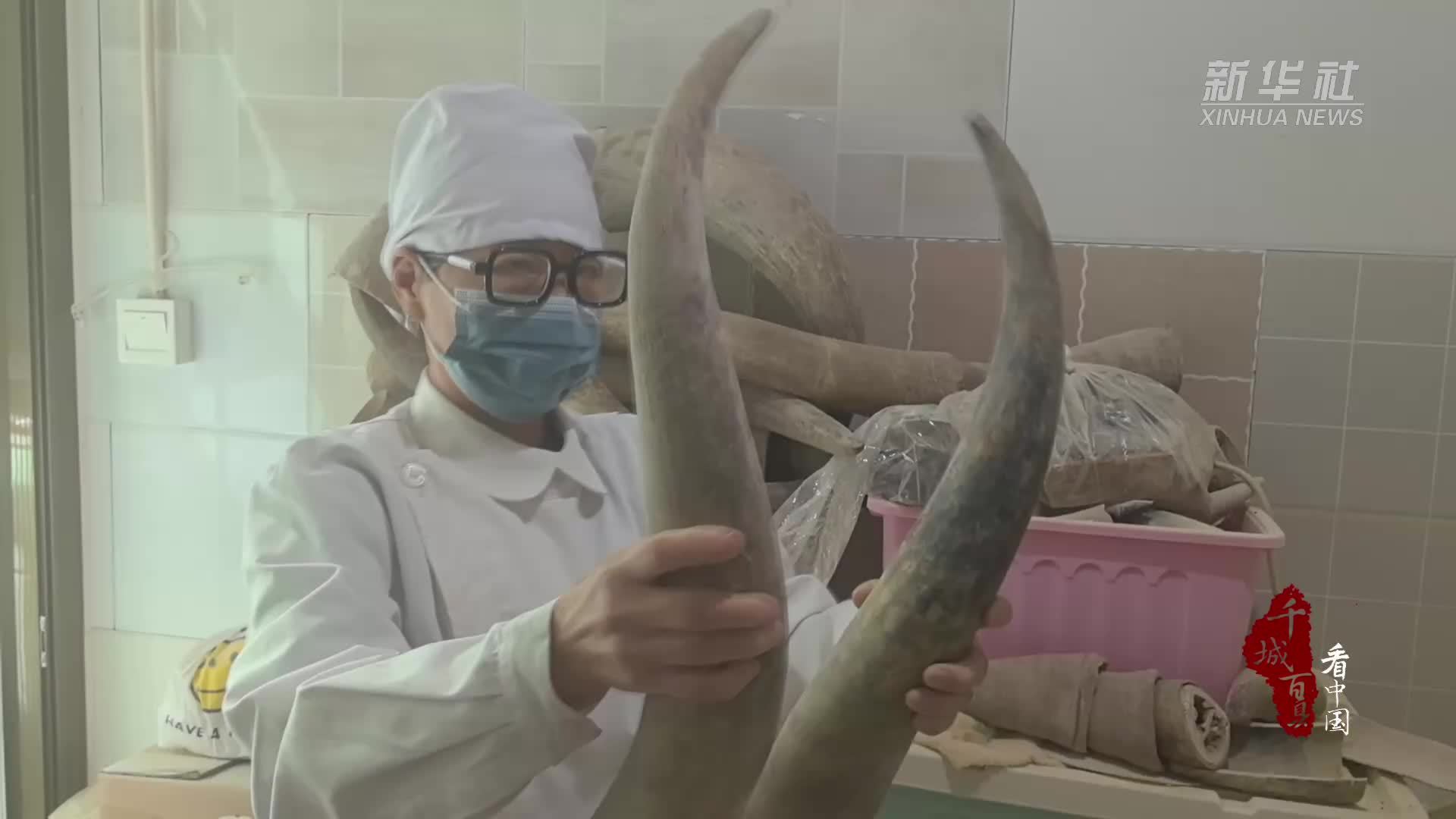 千城百县看中国｜河北徐水：匠心传承 雕琢时光