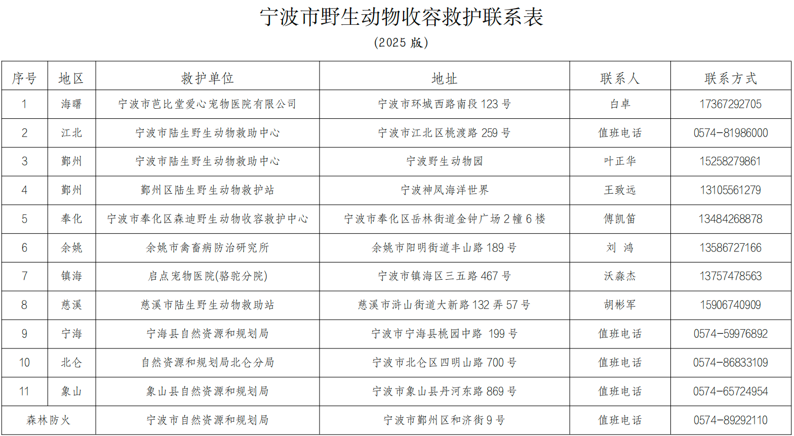 从“独行侠”到“集团军” “宁波鸟叔”八年守护候鸟家园