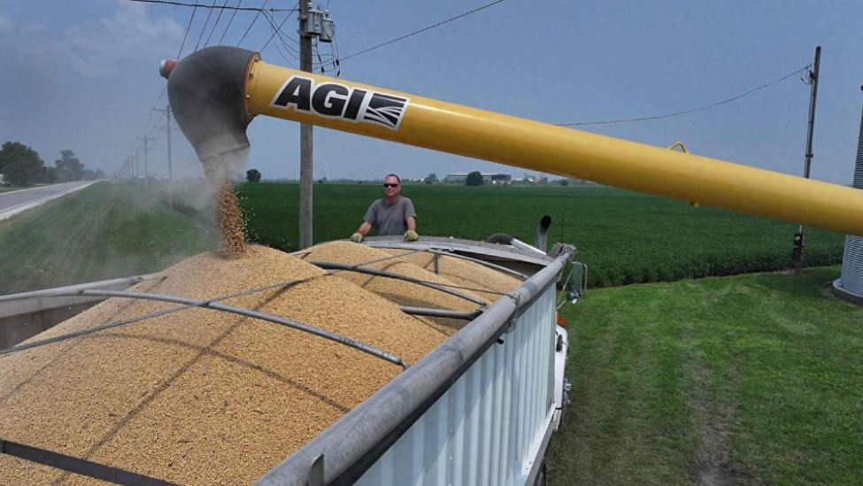 中国大豆订单转向南美，美农民面临困境，特朗普将付出400亿代价