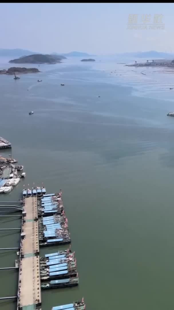 特色产业促振兴 村民致富有门路