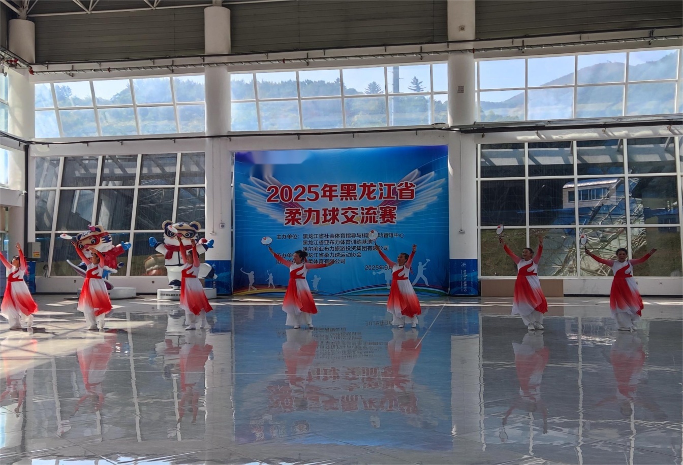 2025年黑龙江省柔力球交流赛圆满闭幕