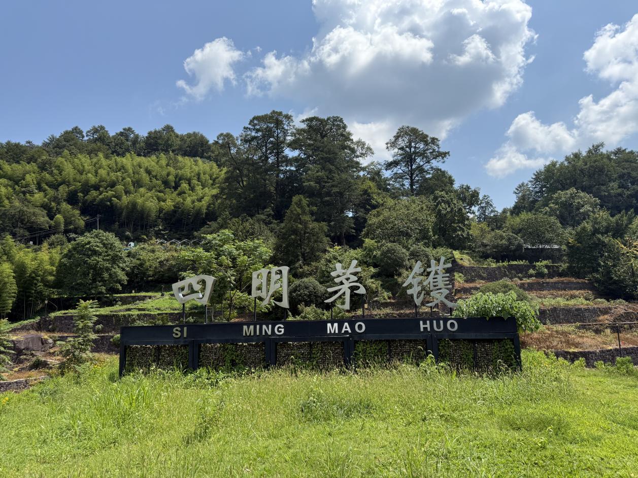 四明茅鑊古樹公園