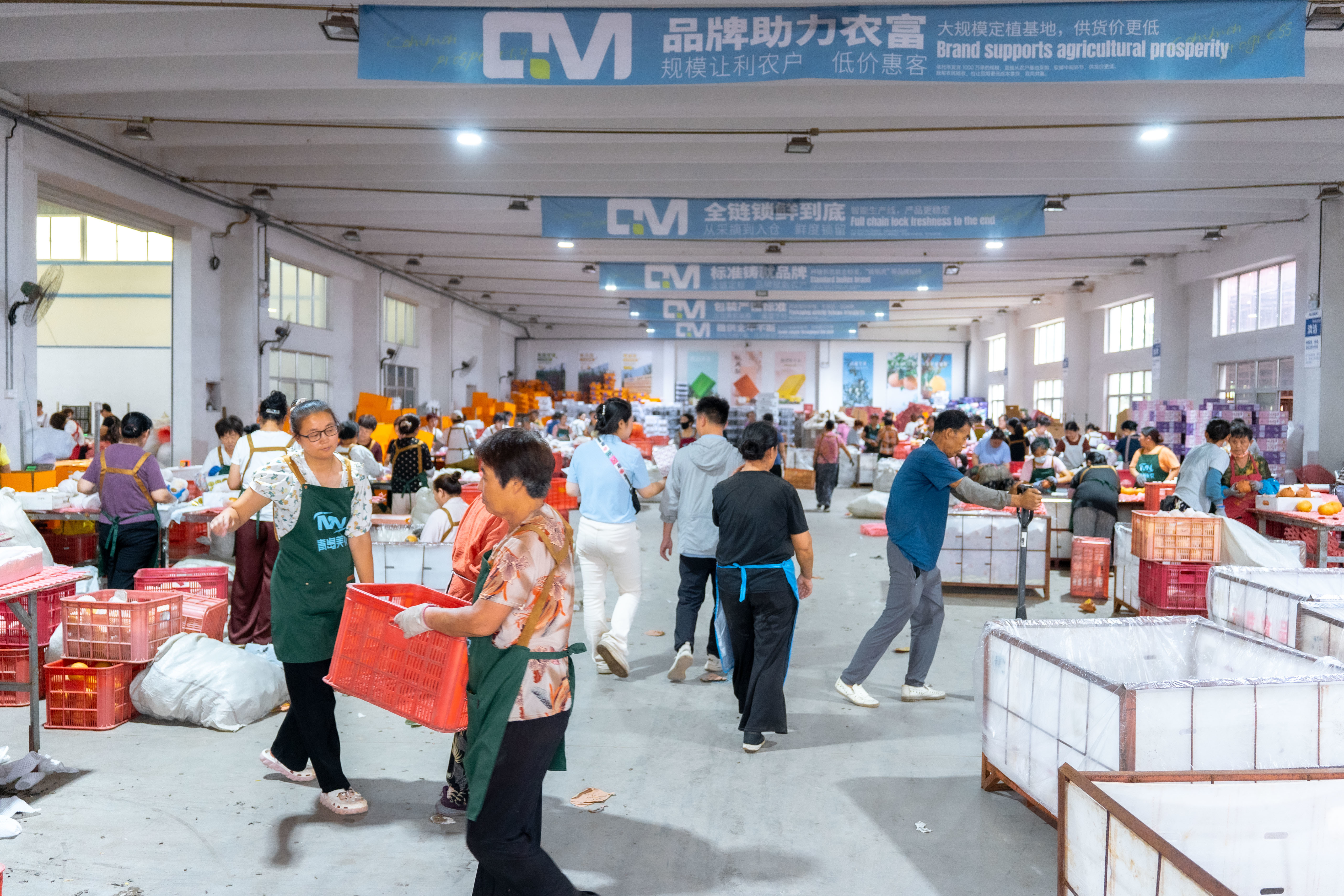 青岛乡里乡亲|左青竹:以网为桥 做乡村振兴路上的“农产品带货领路人”