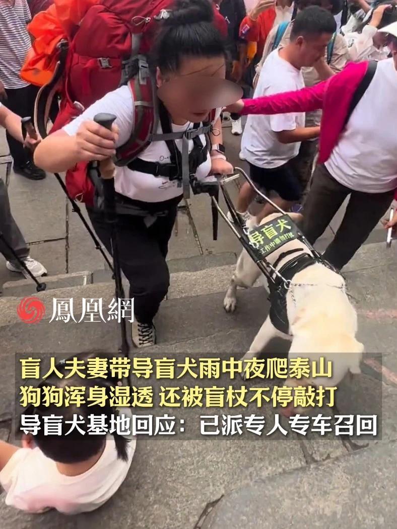 盲人夫妻带导盲犬雨中夜爬泰山，夫妻俩都穿了雨衣，狗狗却没有任何防护措施浑身湿透，还被盲杖不停敲打，导盲犬基地回应：已派专人专车召回 #泰山  #大连  #爬山  #盲人  #导盲犬