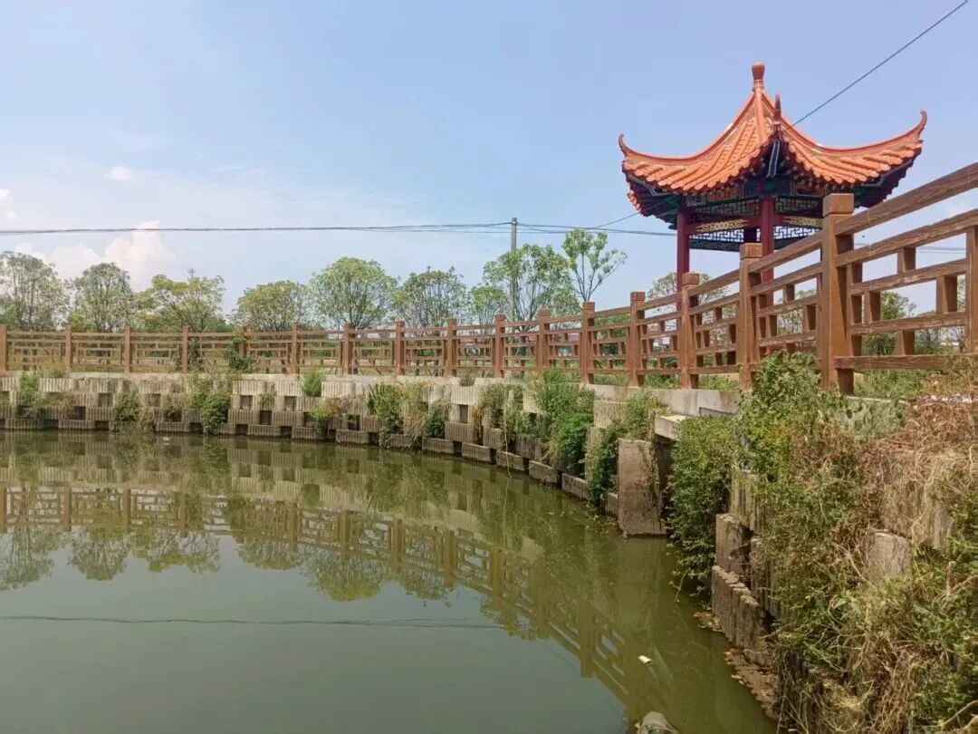 改造升级！新余白洋江这项工程惠及1万余人