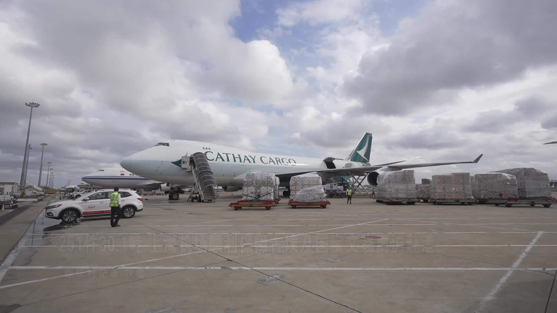 251件30.1吨 上海机场顺利保障古埃及国宝文物离沪赴港