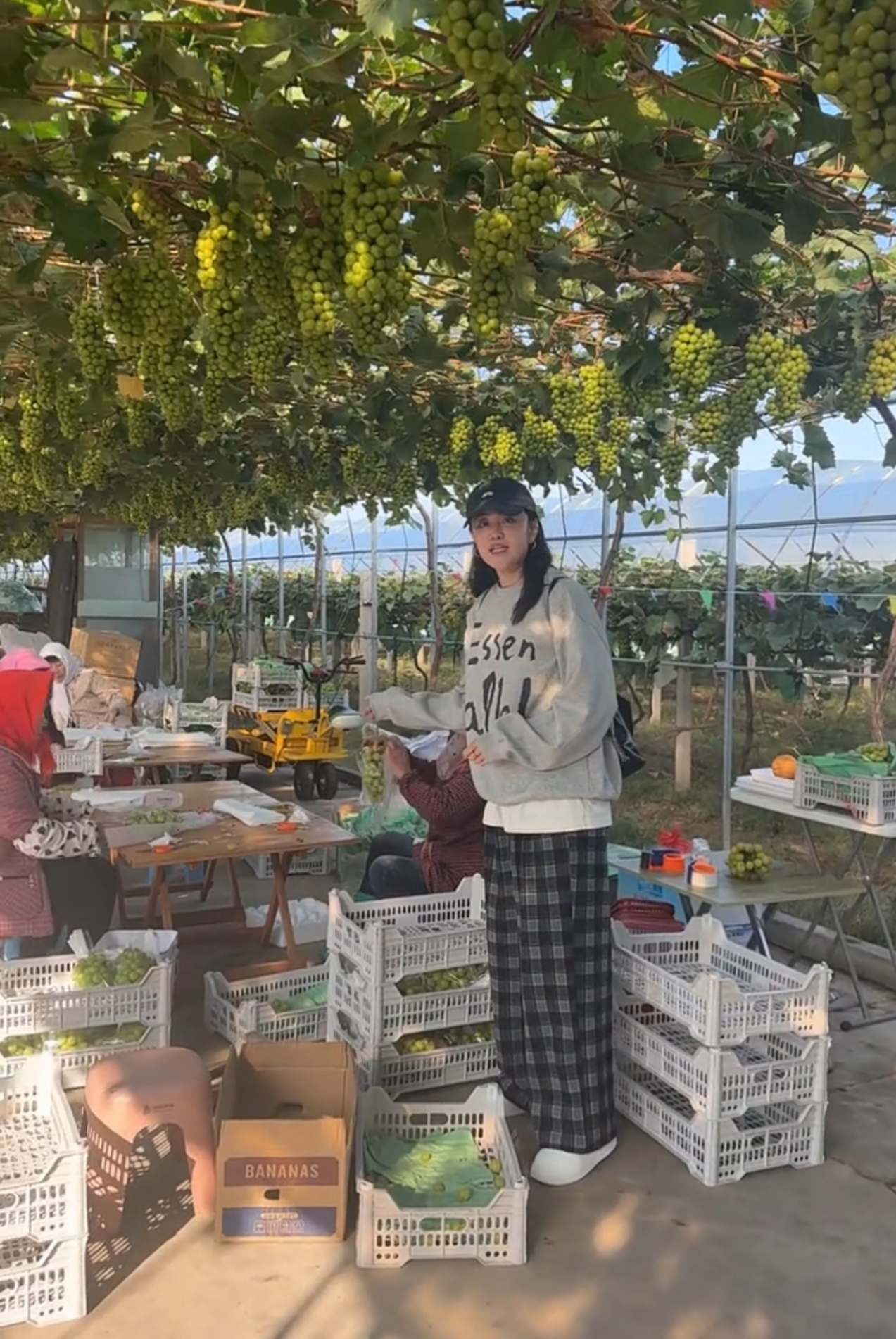 青岛乡里乡亲｜夏庄走出的“小秦姐”：一位农村网红的正能量之旅