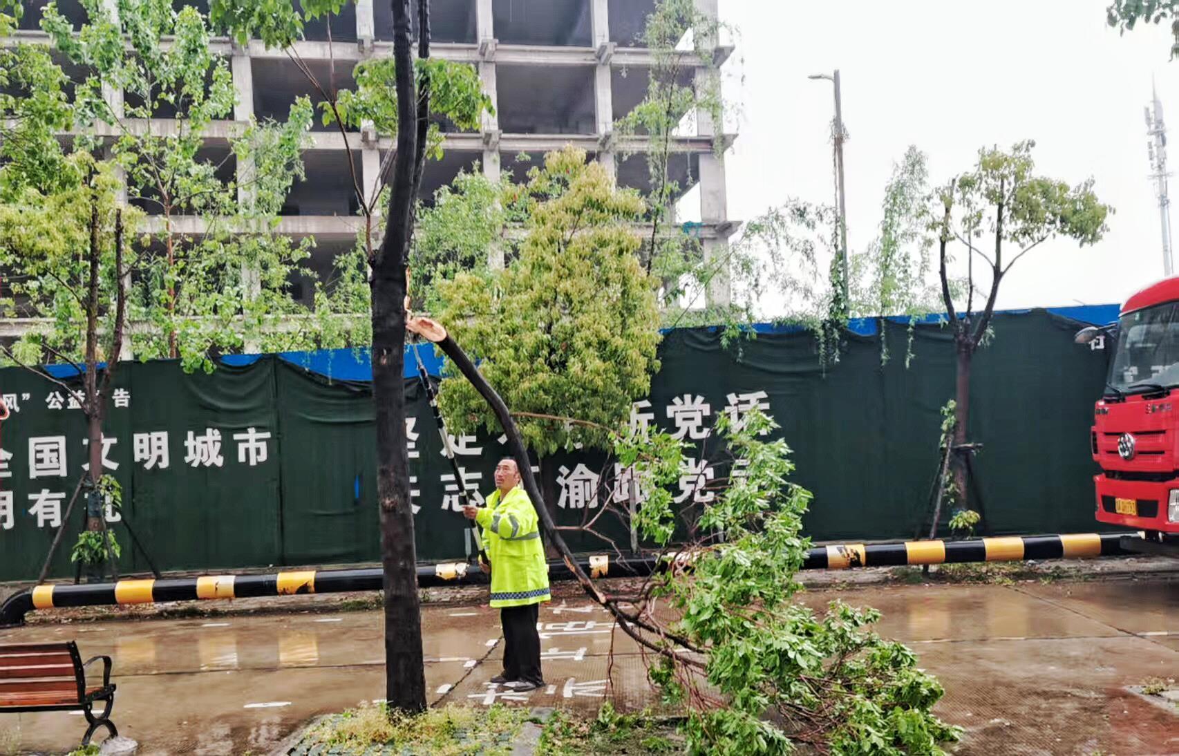 图3：园林工人应急清理断枝，消除安全隐患.JPG
