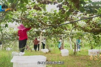 陕西省宝鸡市眉县：山水眉县 创意家园