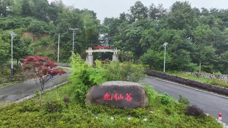 点击查看原始图片