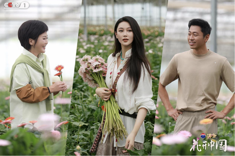 滇南花开红河岸，探寻“一朵花”的中国式浪漫