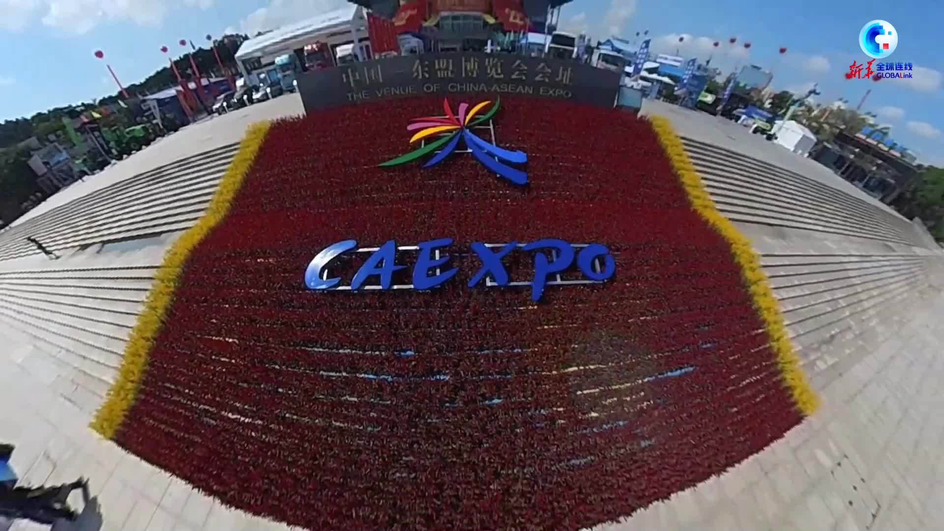 全球连线｜数智东博会 解锁新机遇 携手共发展