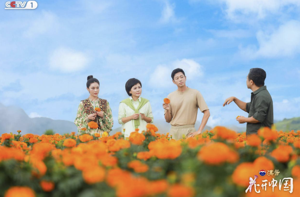 滇南花开红河岸，探寻“一朵花”的中国式浪漫