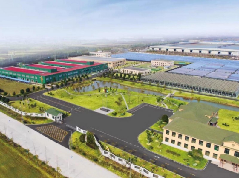 点击查看原始图片