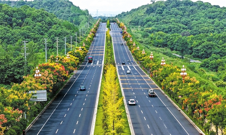 九江八里湖新区：路畅景美（图）
