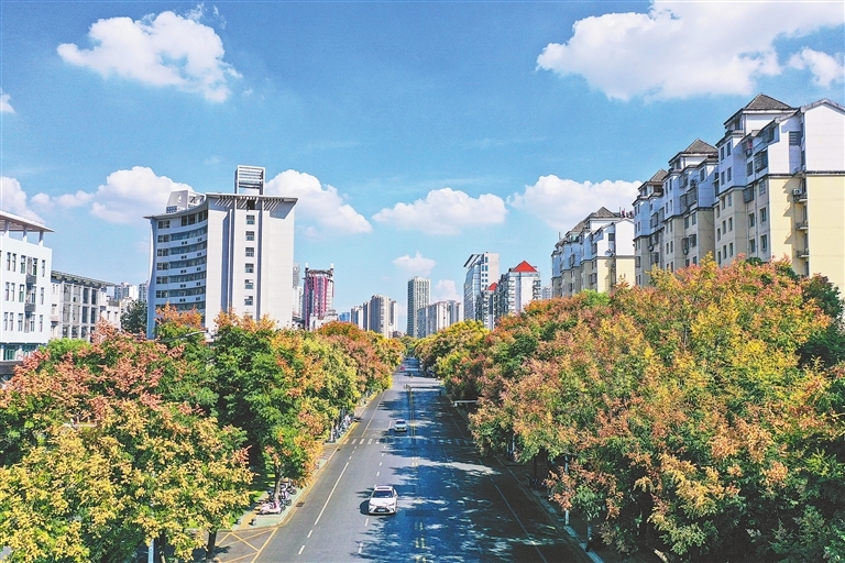 秋景斑斓（图）